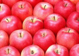 谁吃苹果哈密瓜,揭秘谁在享用苹果与哈密瓜的甜蜜诱惑