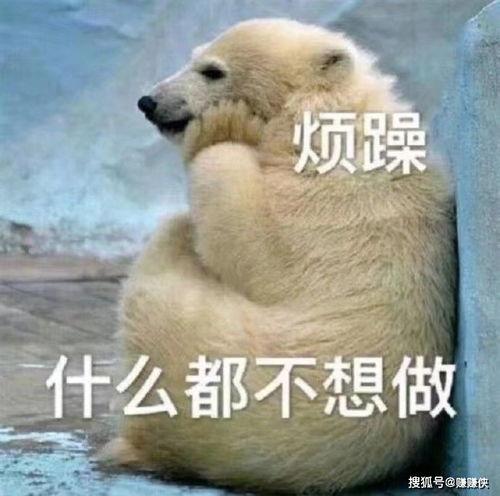 上学吃瓜群众图片,揭秘上学吃瓜群众的欢乐时光