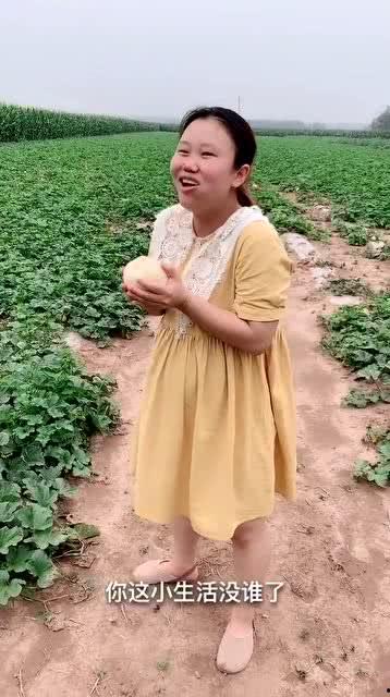 孕妇吃小赖瓜,小赖瓜助力孕妇健康营养