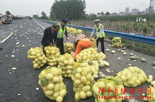 蕉岭吃瓜群众,揭秘当地生活百态