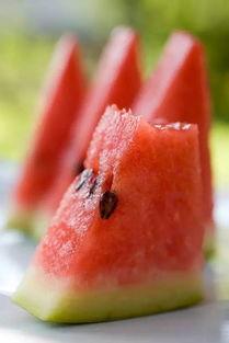 宁职吃瓜,揭秘“吃瓜”背后的故事