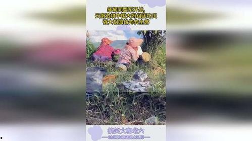 云南大妈吃瓜缅北战争,揭秘缅北战争背后的故事