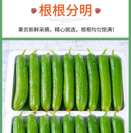 太原吃瓜鲜生,吃瓜鲜生带你领略地方风味