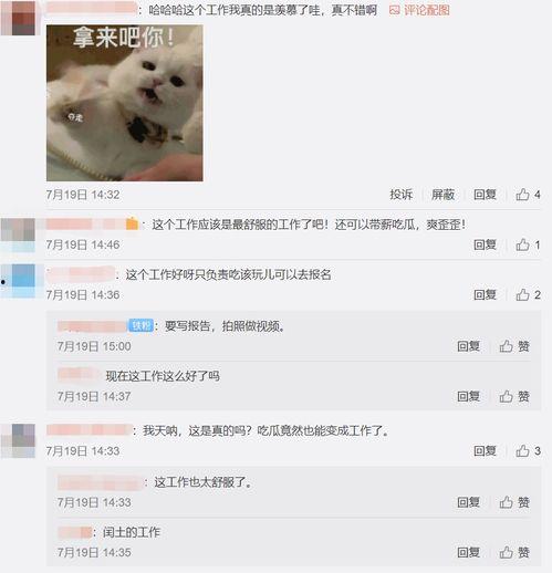 上班吃瓜赚钱,轻松赚钱两不误