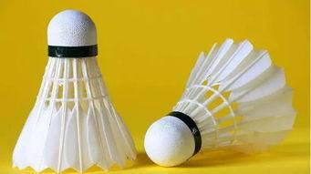 吃瓜羽毛球,激情碰撞与技巧对决