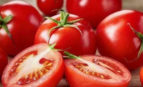 吃瓜文古代推荐番茄,揭秘古代吃瓜文中的神秘果实