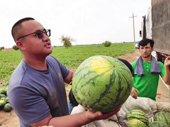 天天吃瓜每日大瓜,天天吃瓜，每日大瓜盘点