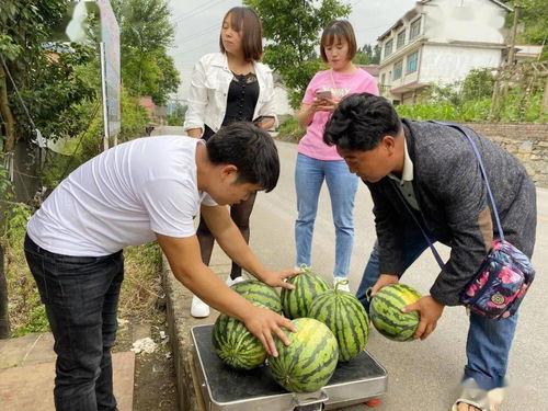 吃挂落还是吃瓜落