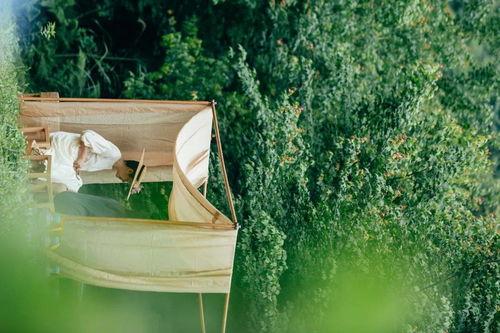 无尽的夏日,探寻时光流转中的温暖记忆