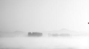 雾色渐褪时,揭开晨曦前的神秘面纱