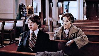 哈洛与慕德,探寻情感与科技的交融之旅