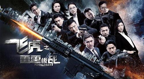 飞虎之雷霆极战,飞虎精英的生死较量