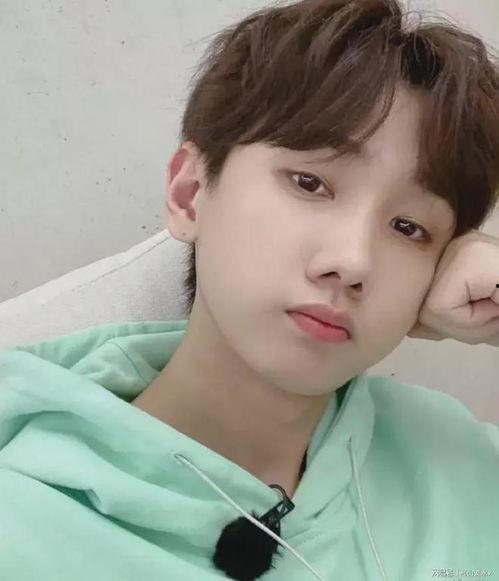 吃瓜娱乐圈许光汉,瓜田里的娱乐圈明星